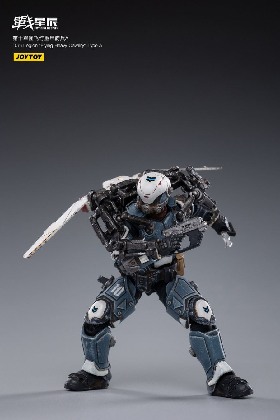 10TH Legion Flying Heavy Cavalry Type A
