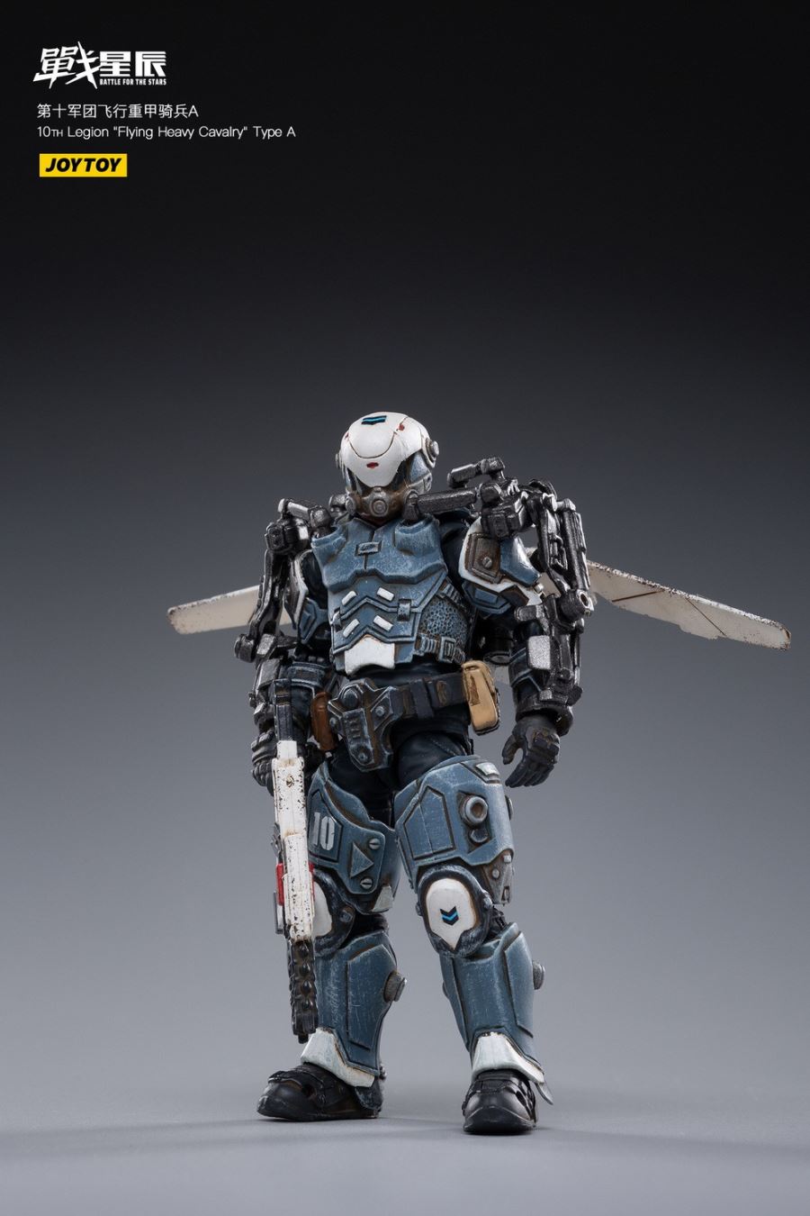 10TH Legion Flying Heavy Cavalry Type A