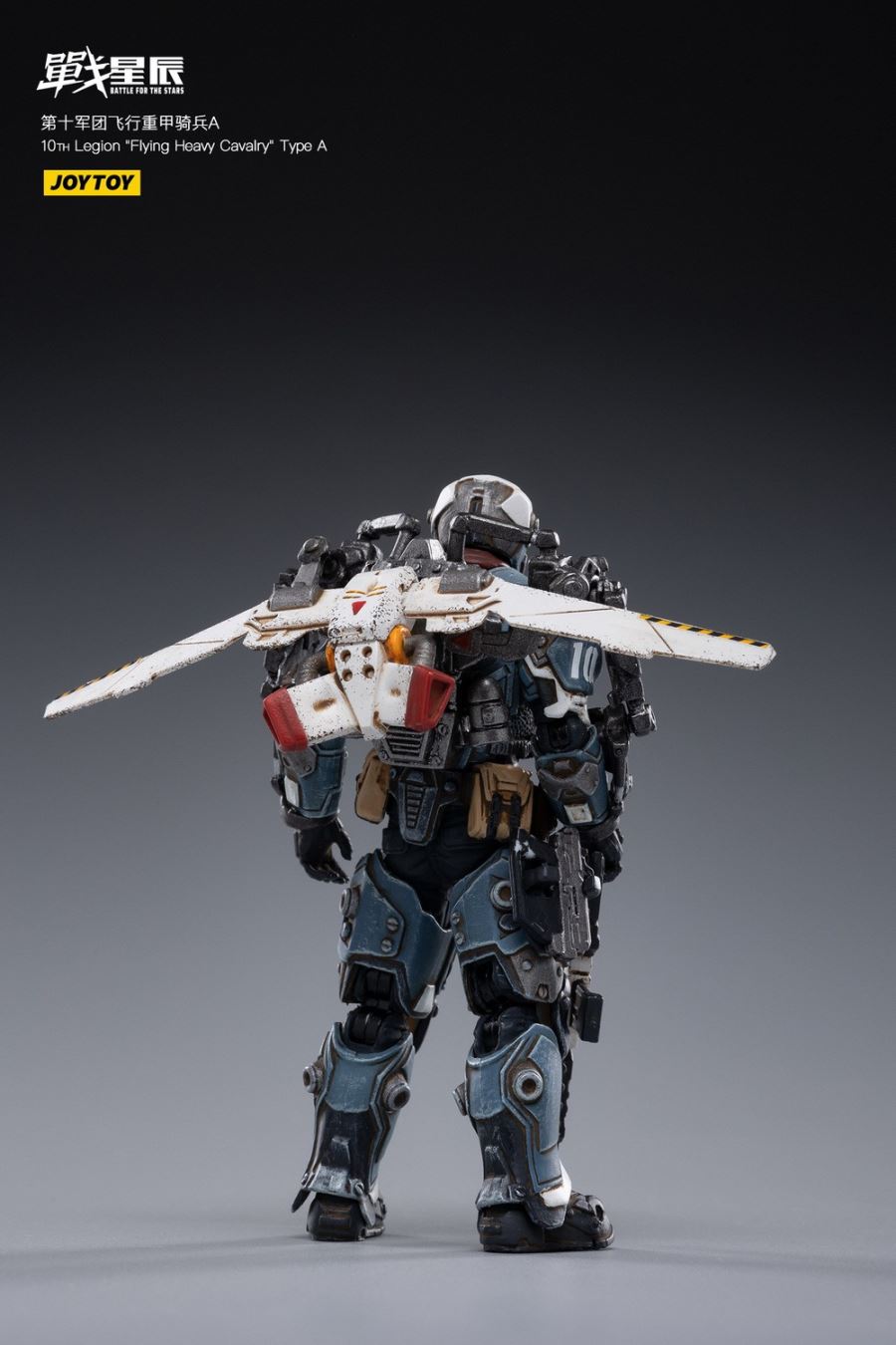 10TH Legion Flying Heavy Cavalry Type A