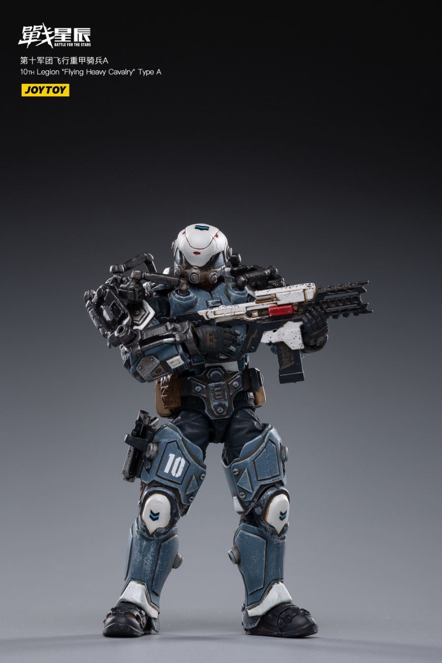 10TH Legion Flying Heavy Cavalry Type A