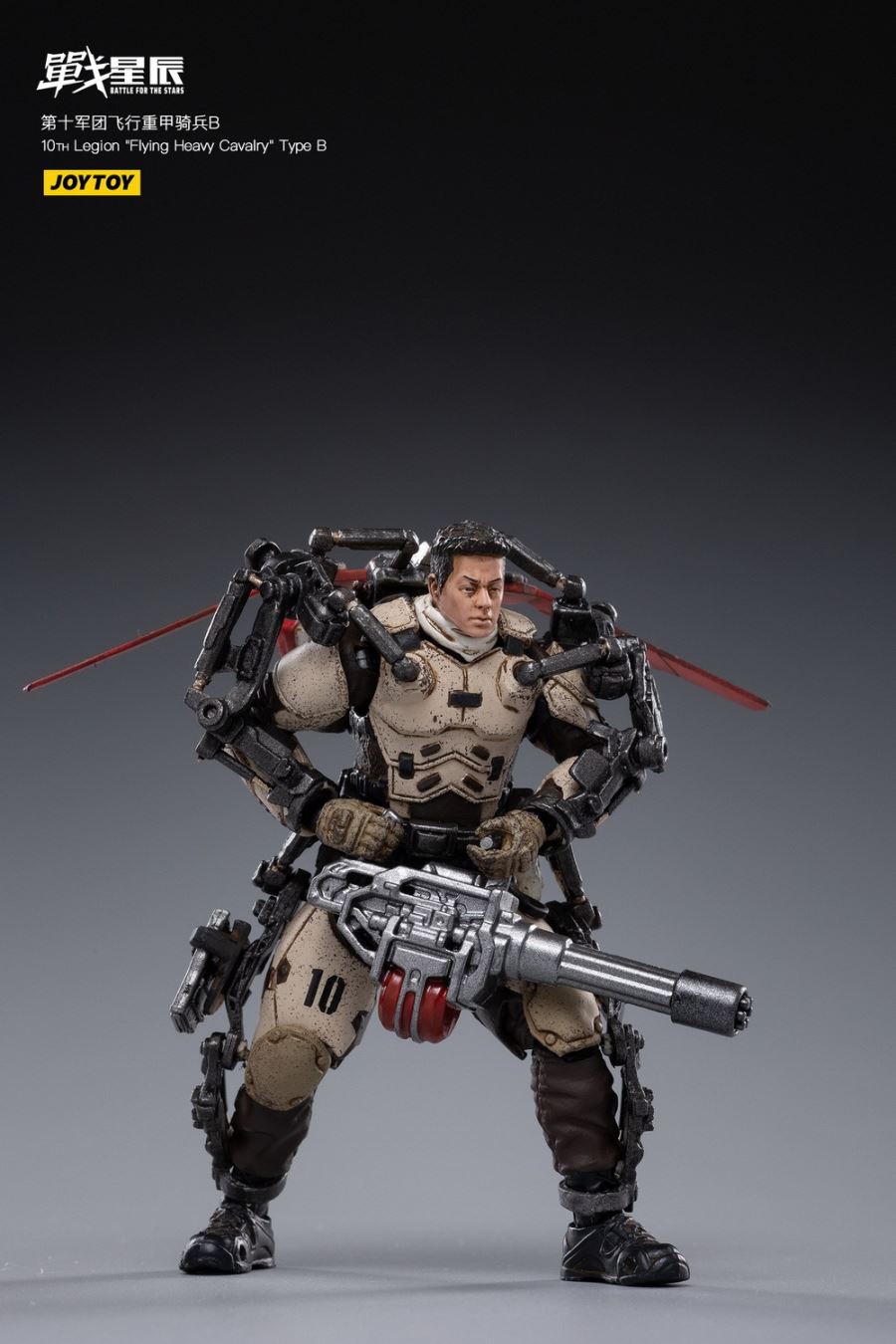 10TH Legion Flying Heavy Cavalry Type B