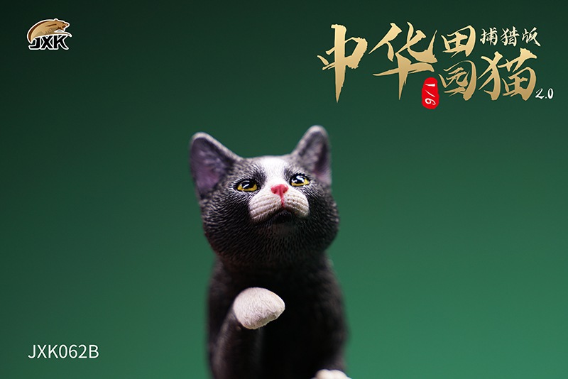 Chinese Garden Cat 2.0 (Hunting Edition) 1/6