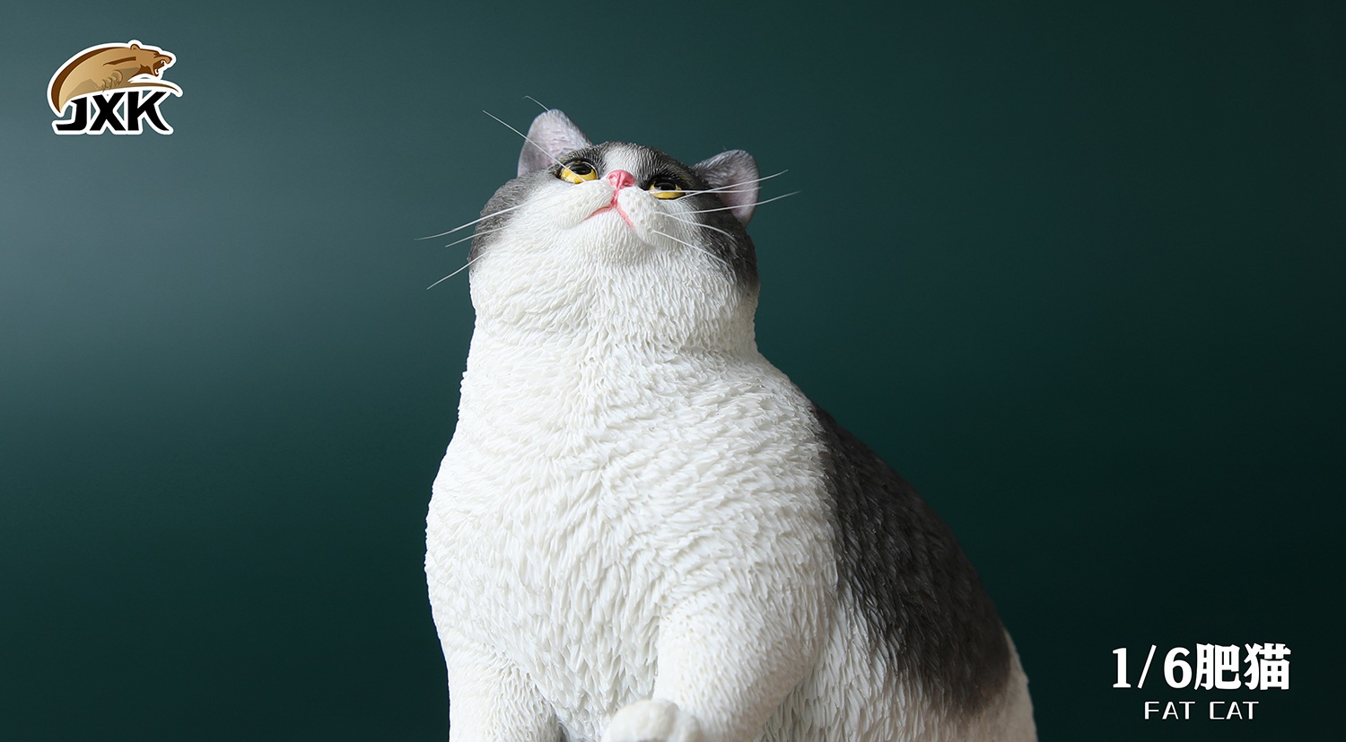 fat cat [six colors optional] JXK064 1/6