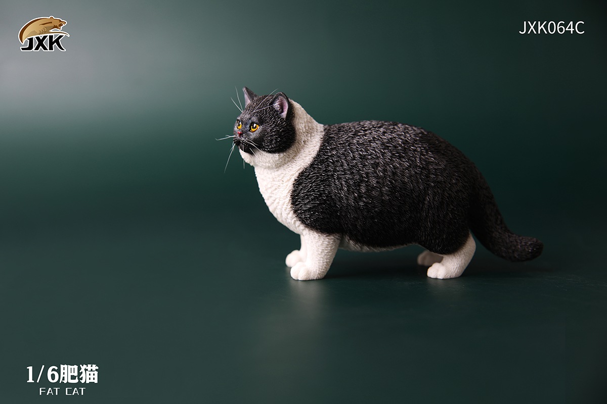fat cat [six colors optional] JXK064 1/6