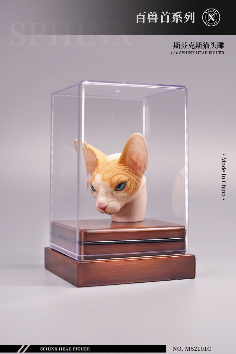 series of beasts - hairless cat animal head sculpture 1/6