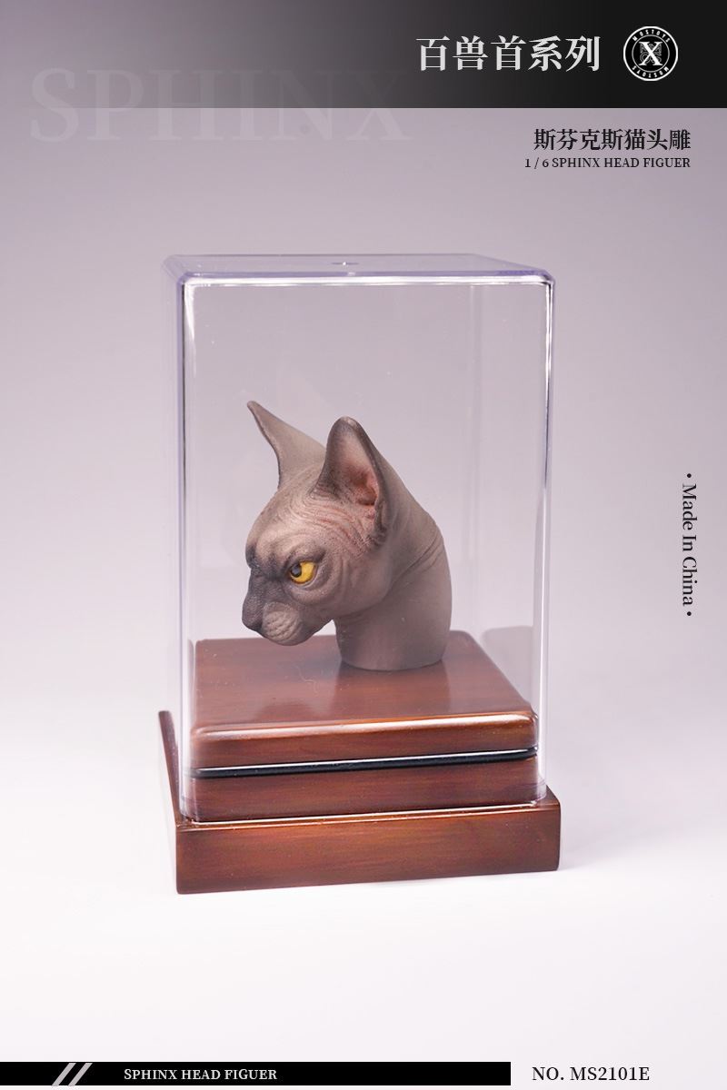 series of beasts - hairless cat animal head sculpture 1/6