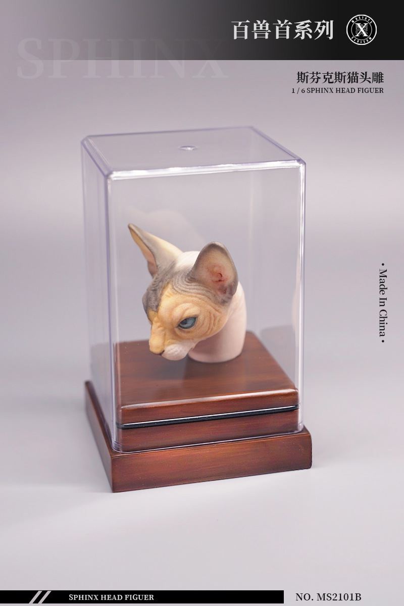 series of beasts - hairless cat animal head sculpture 1/6