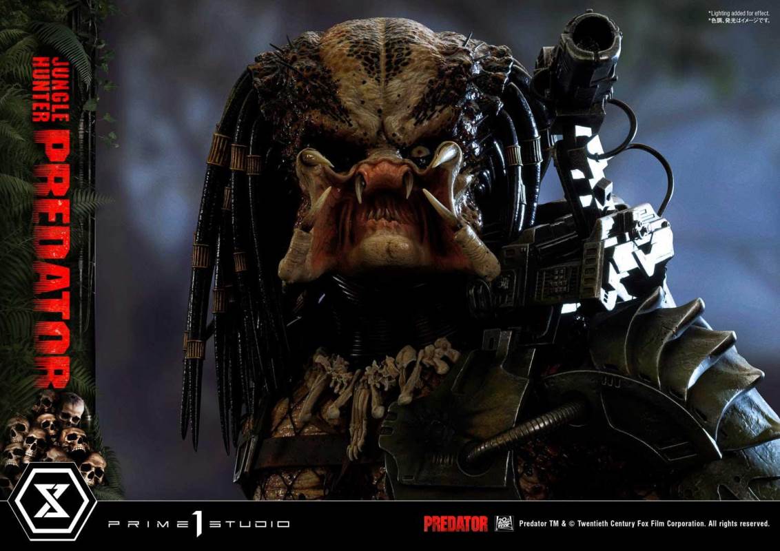 Jungle Hunter Predator