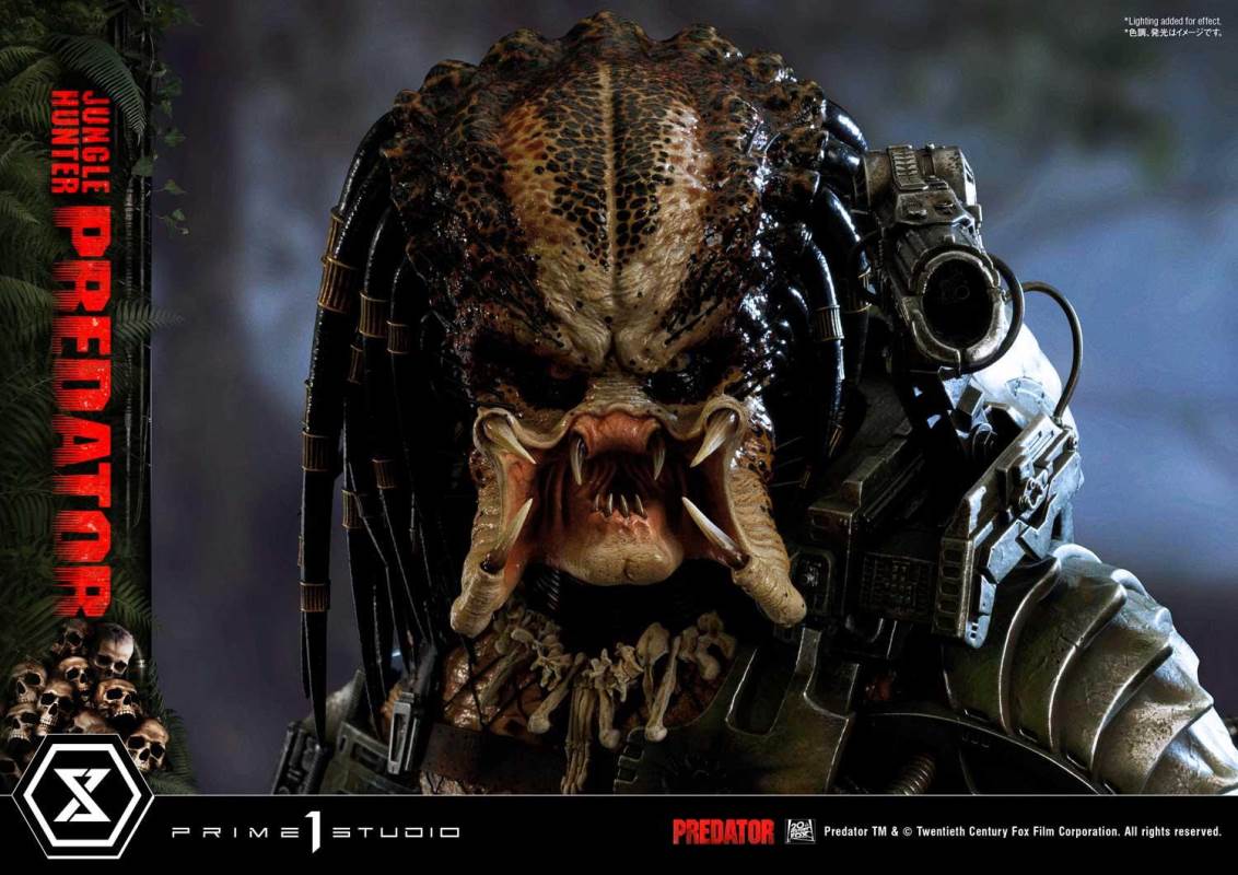 Jungle Hunter Predator