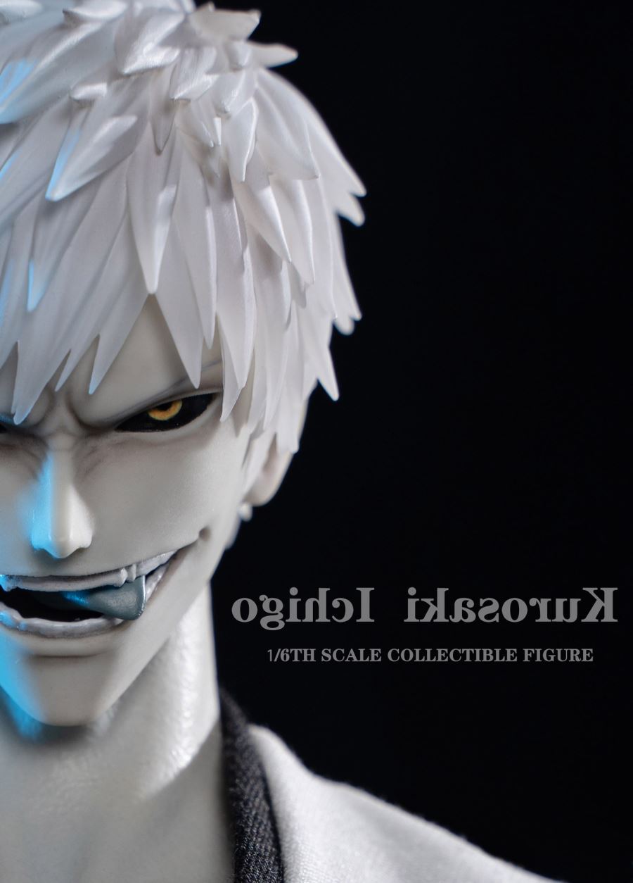 Hollow Zangetsu 1/6