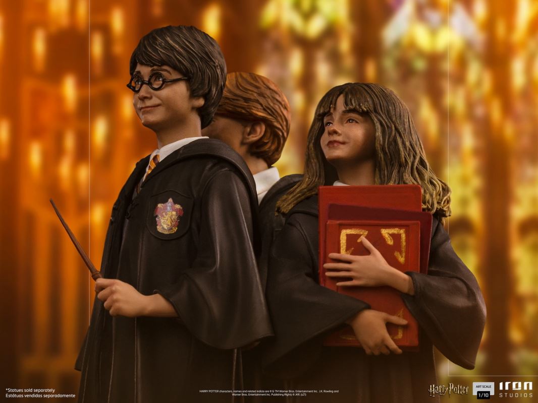Harry Potter & Ron & Hermione 1/10