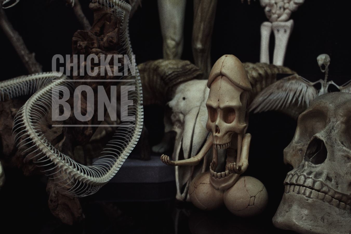 20cm Penis Skeleton State-Chicken Bone Statue