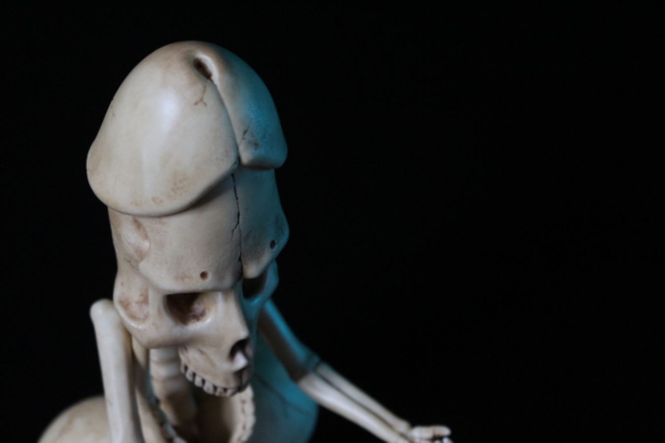 20cm Penis Skeleton State-Chicken Bone Statue