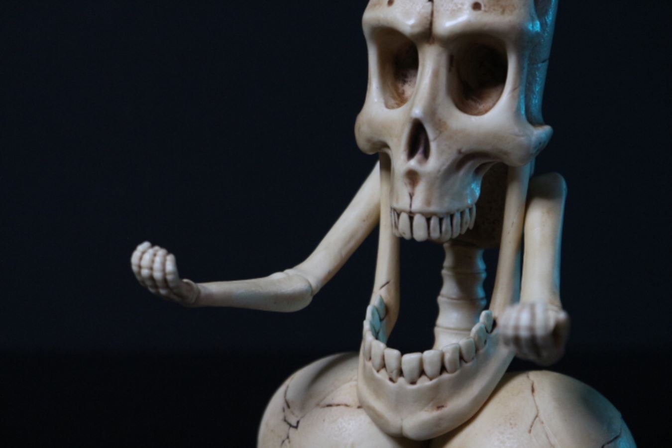 20cm Penis Skeleton State-Chicken Bone Statue