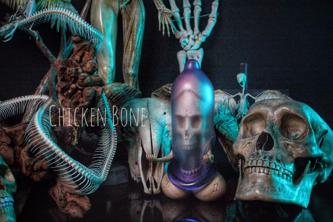 20cm Penis Skeleton State-Chicken Bone Statue