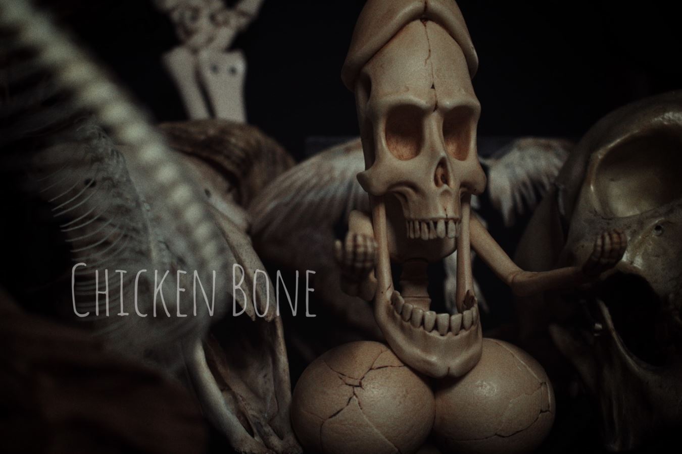 20cm Penis Skeleton State-Chicken Bone Statue