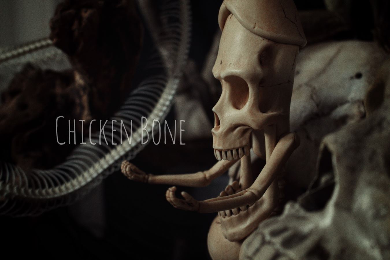 20cm Penis Skeleton State-Chicken Bone Statue
