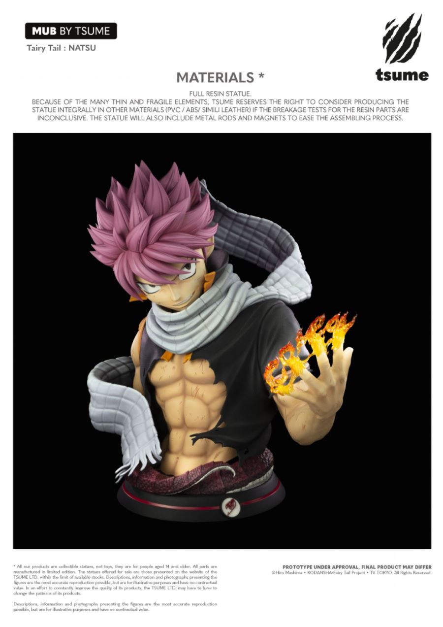 Fairy Tail - Natsu Dragneel MUB