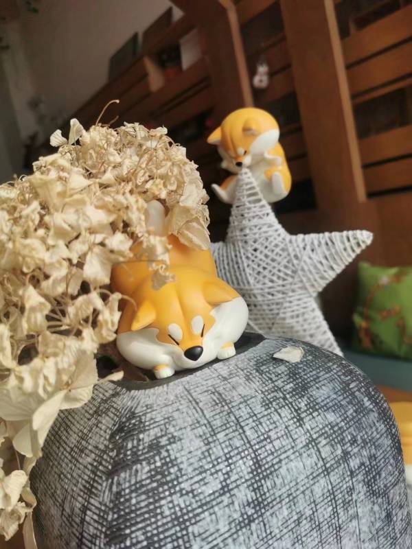 Animal Planet Interactive Series 2nd Achai Wolfberry