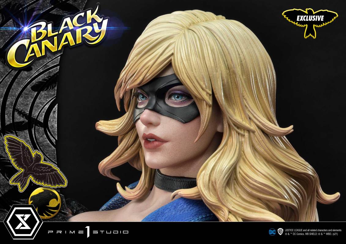 DC Comics Black Canary EX Bonus Version