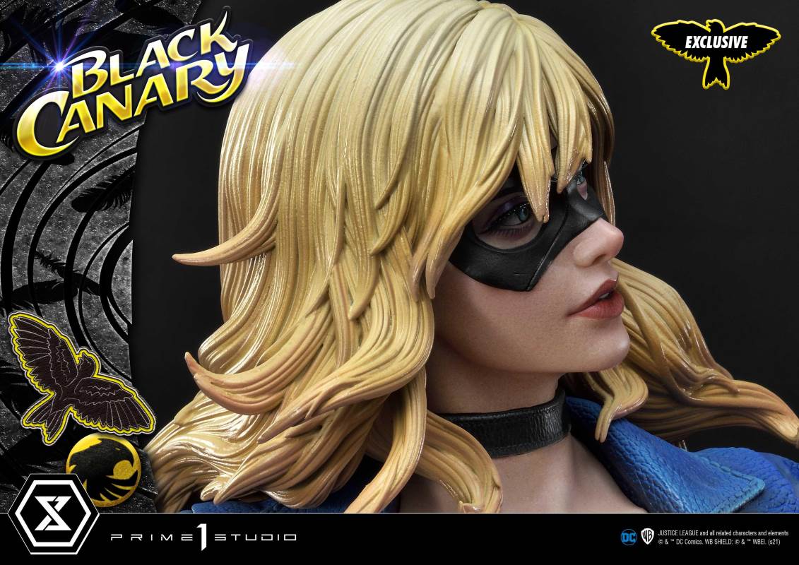 DC Comics Black Canary EX Bonus Version