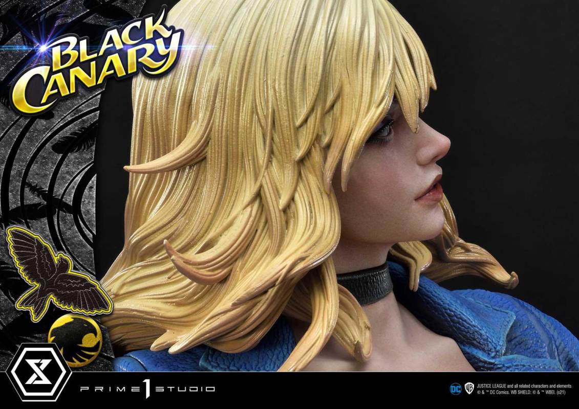 DC Comics Black Canary EX Bonus Version