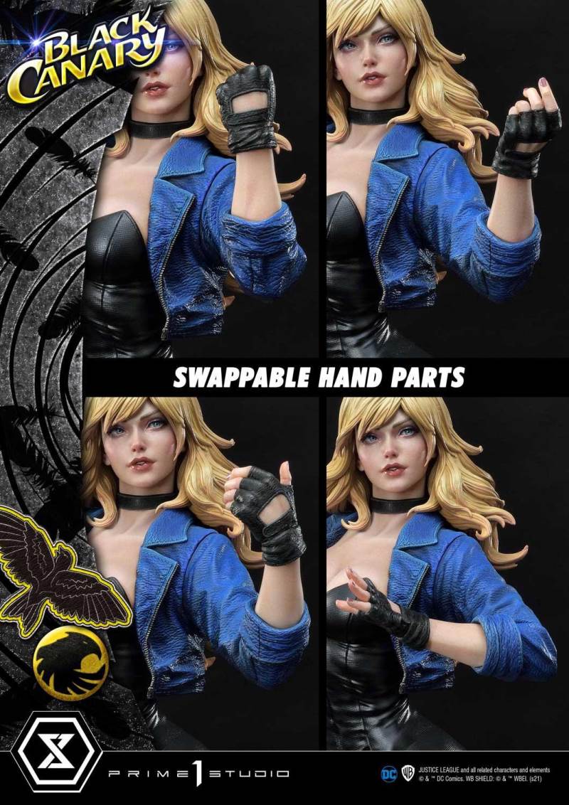 DC Comics Black Canary EX Bonus Version