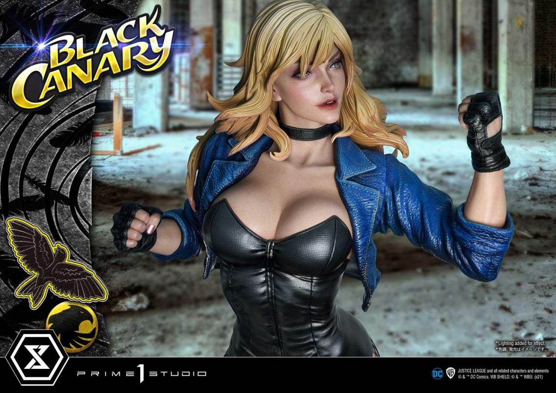 DC Comics Black Canary EX Bonus Version