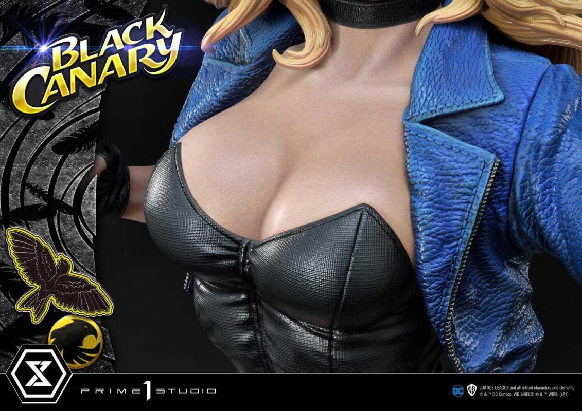DC Comics Black Canary EX Bonus Version