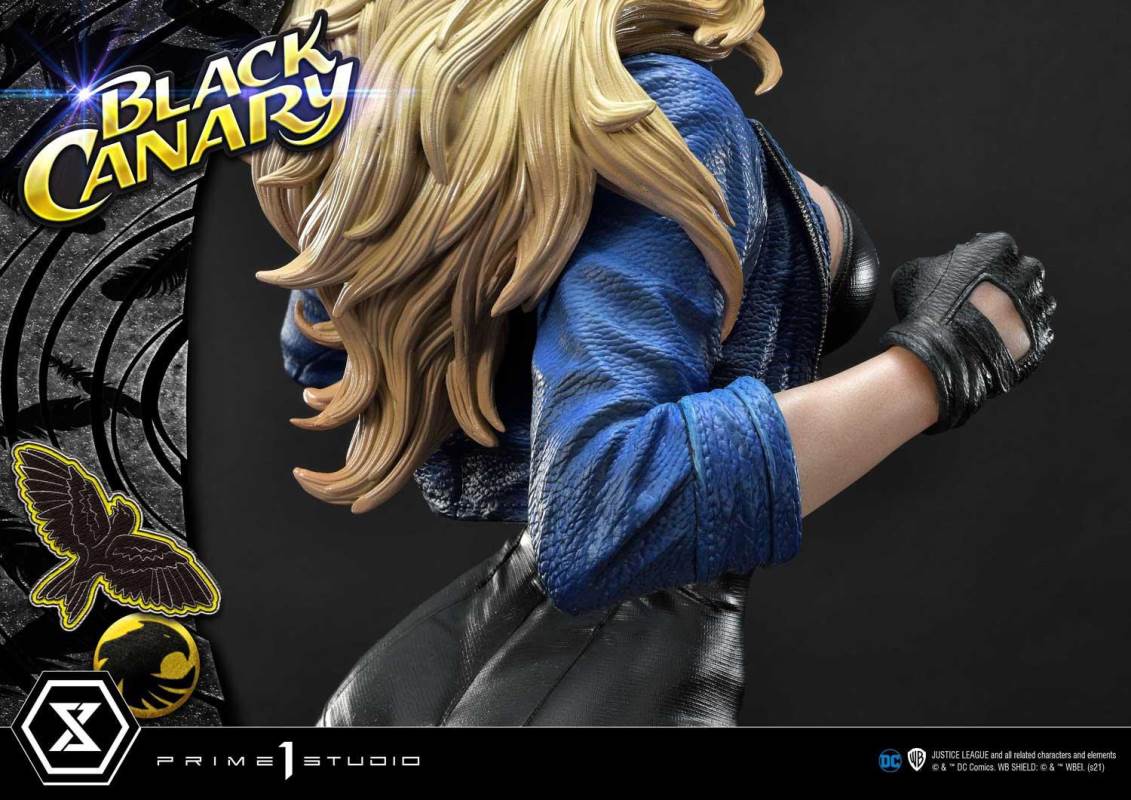 DC Comics Black Canary EX Bonus Version
