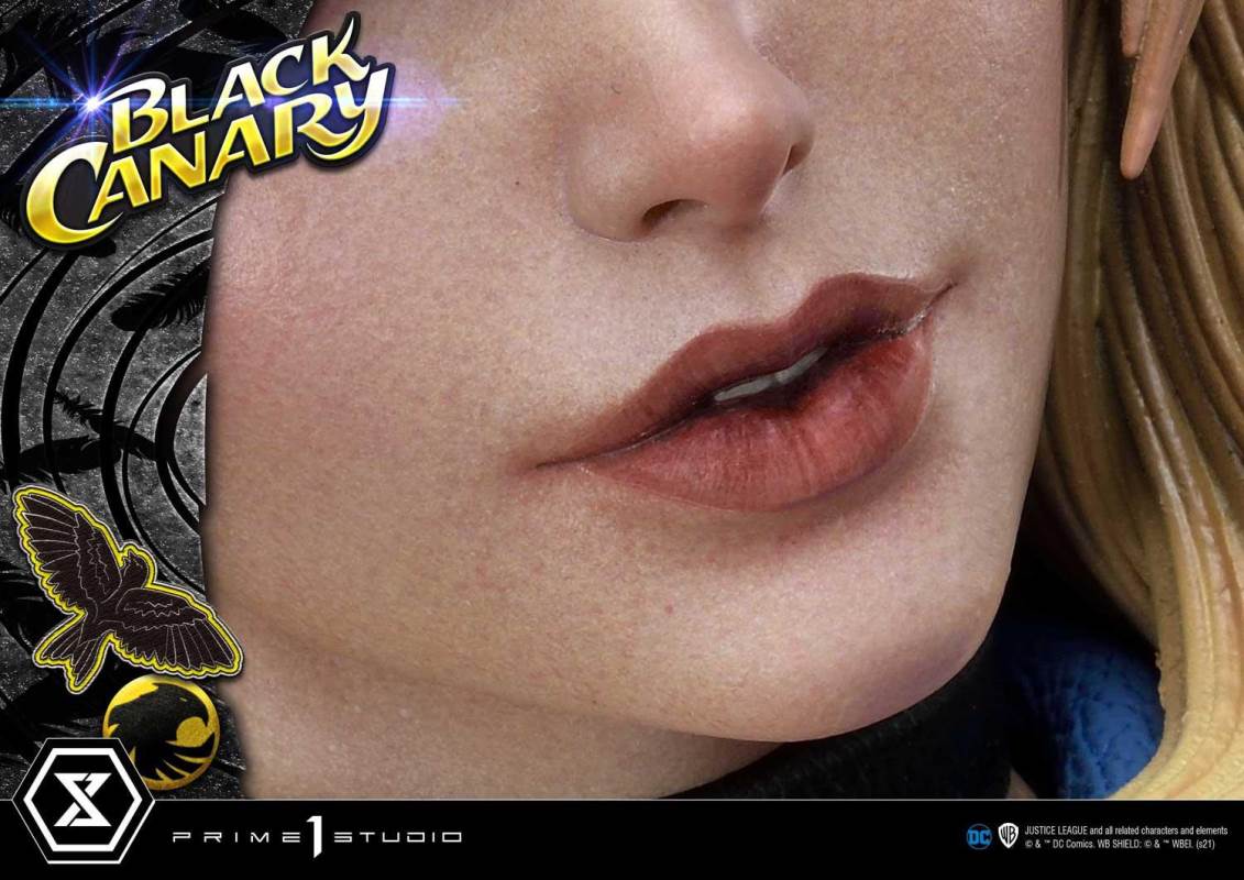 DC Comics Black Canary EX Bonus Version