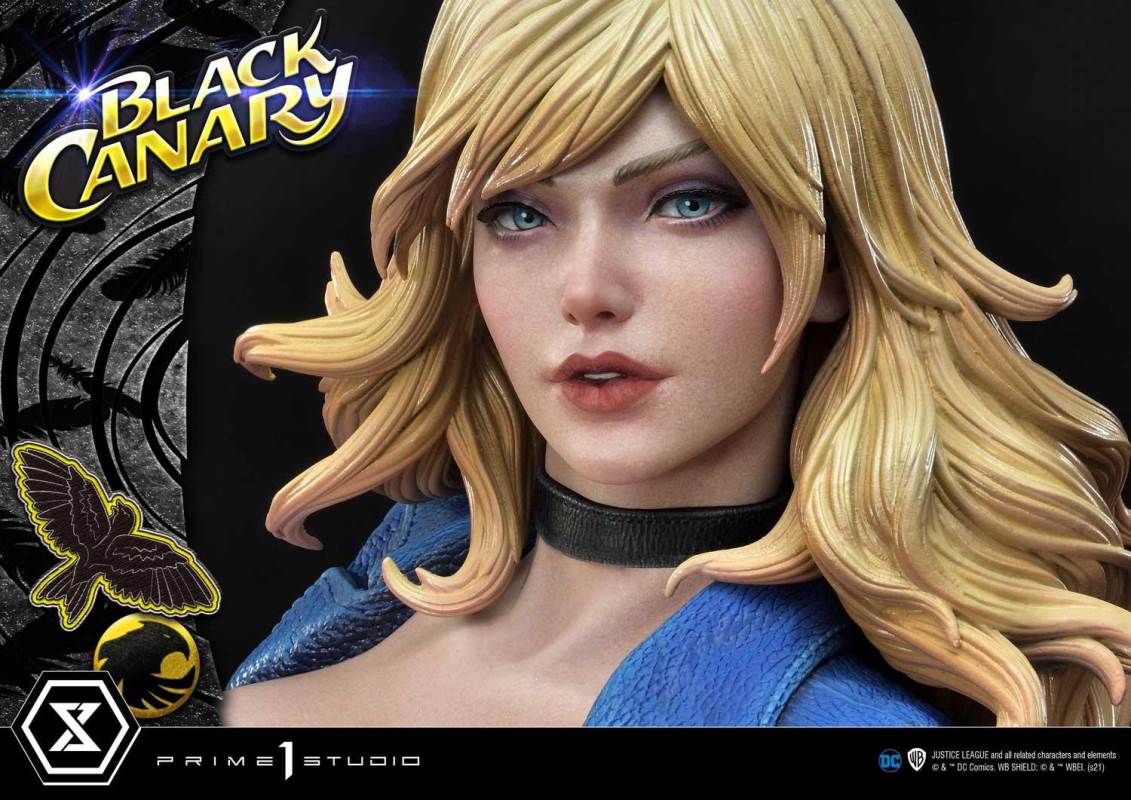 2DC Comics Black Canary