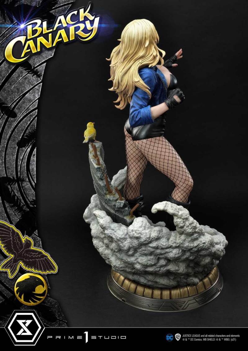 2DC Comics Black Canary