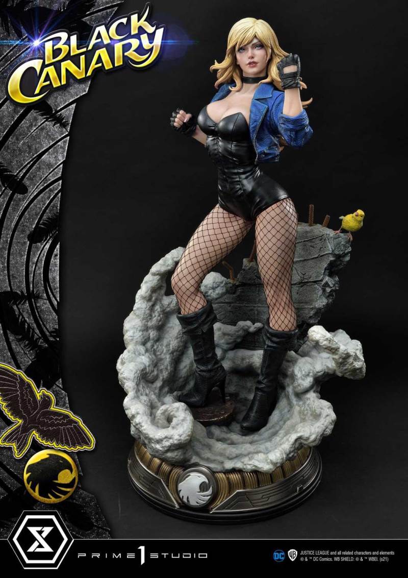 2DC Comics Black Canary