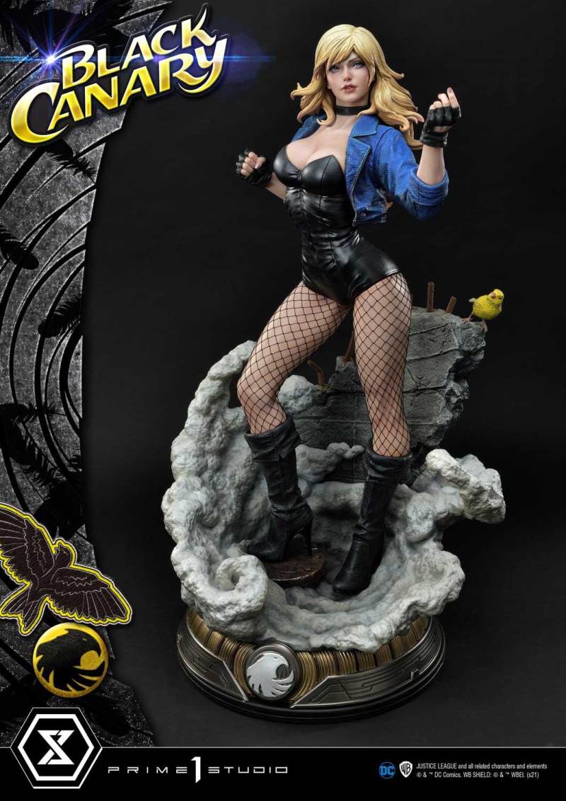 2DC Comics Black Canary