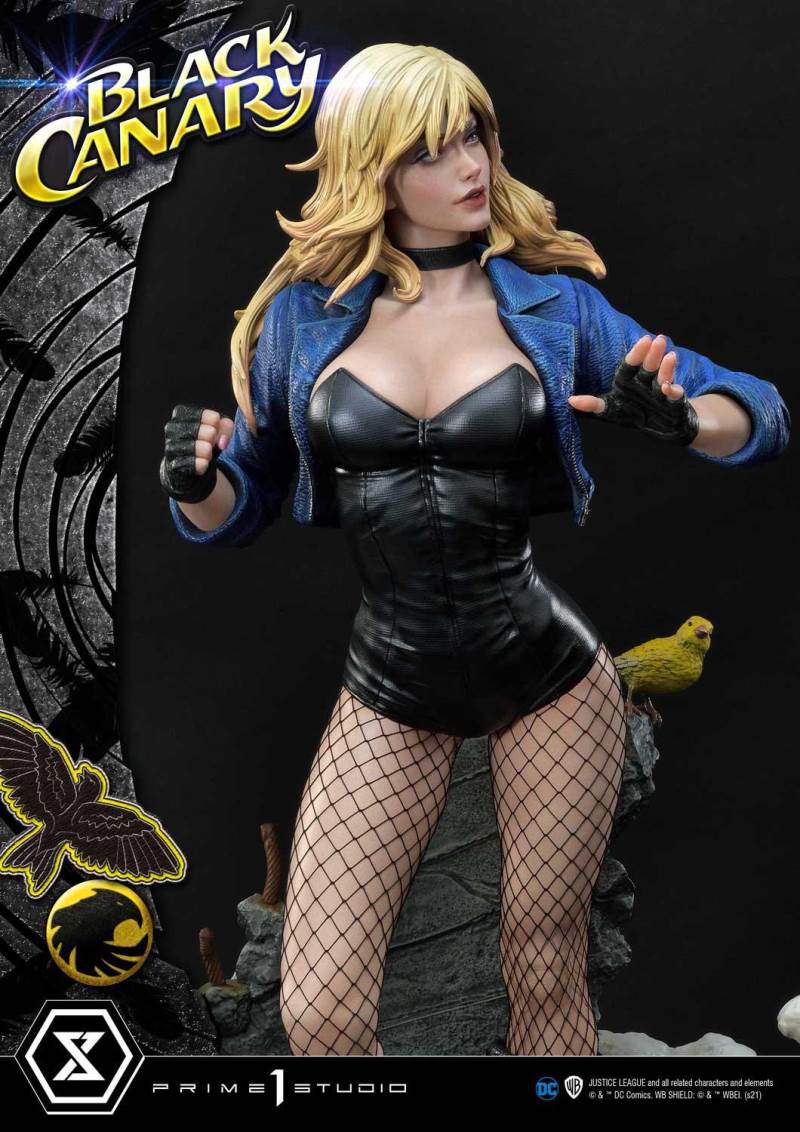 2DC Comics Black Canary