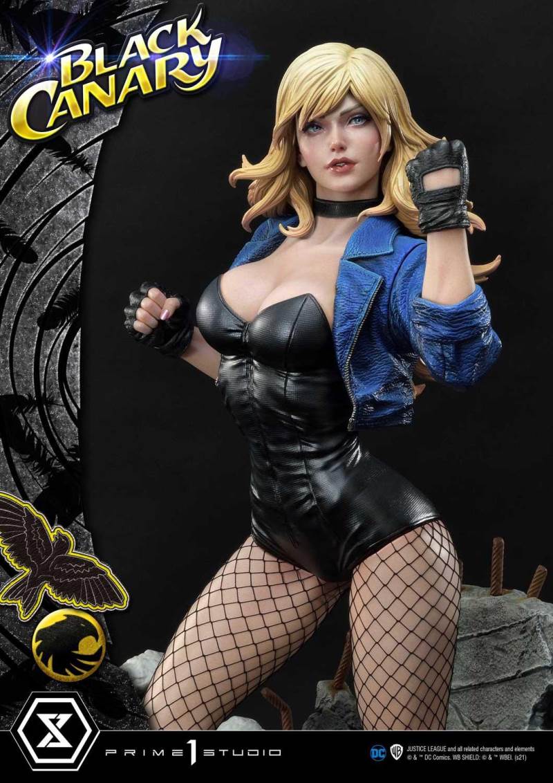 2DC Comics Black Canary