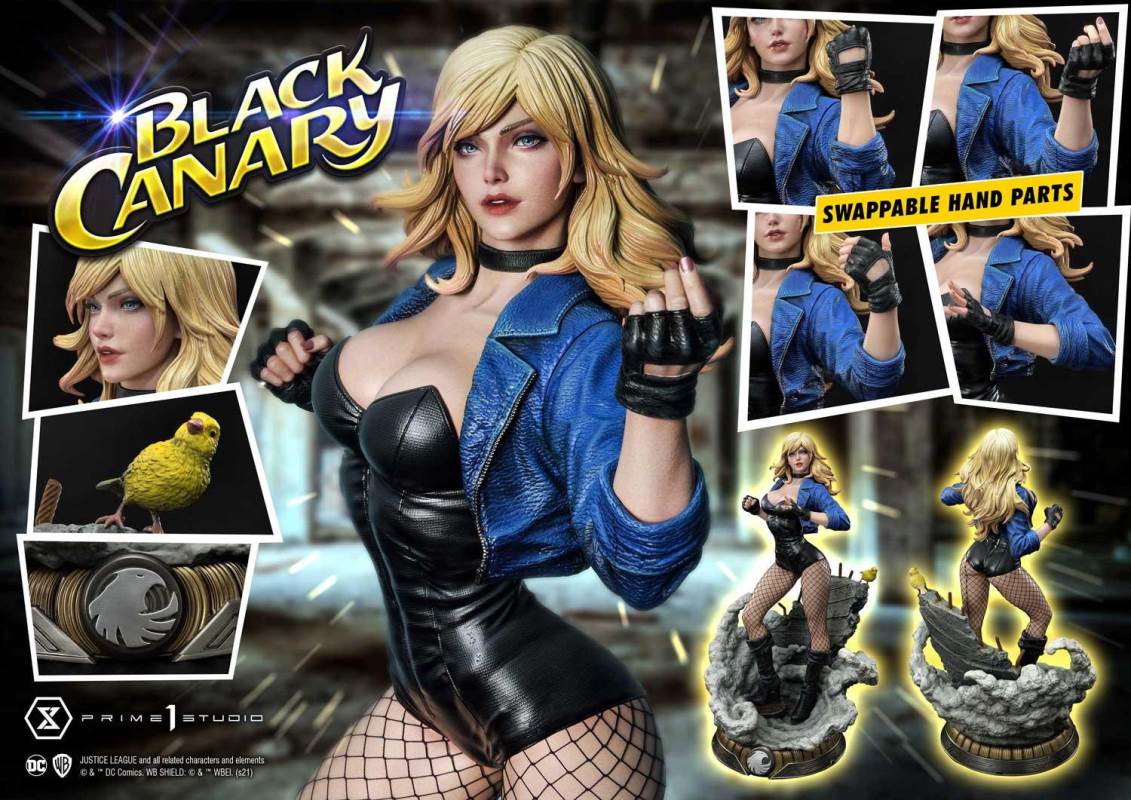 2DC Comics Black Canary