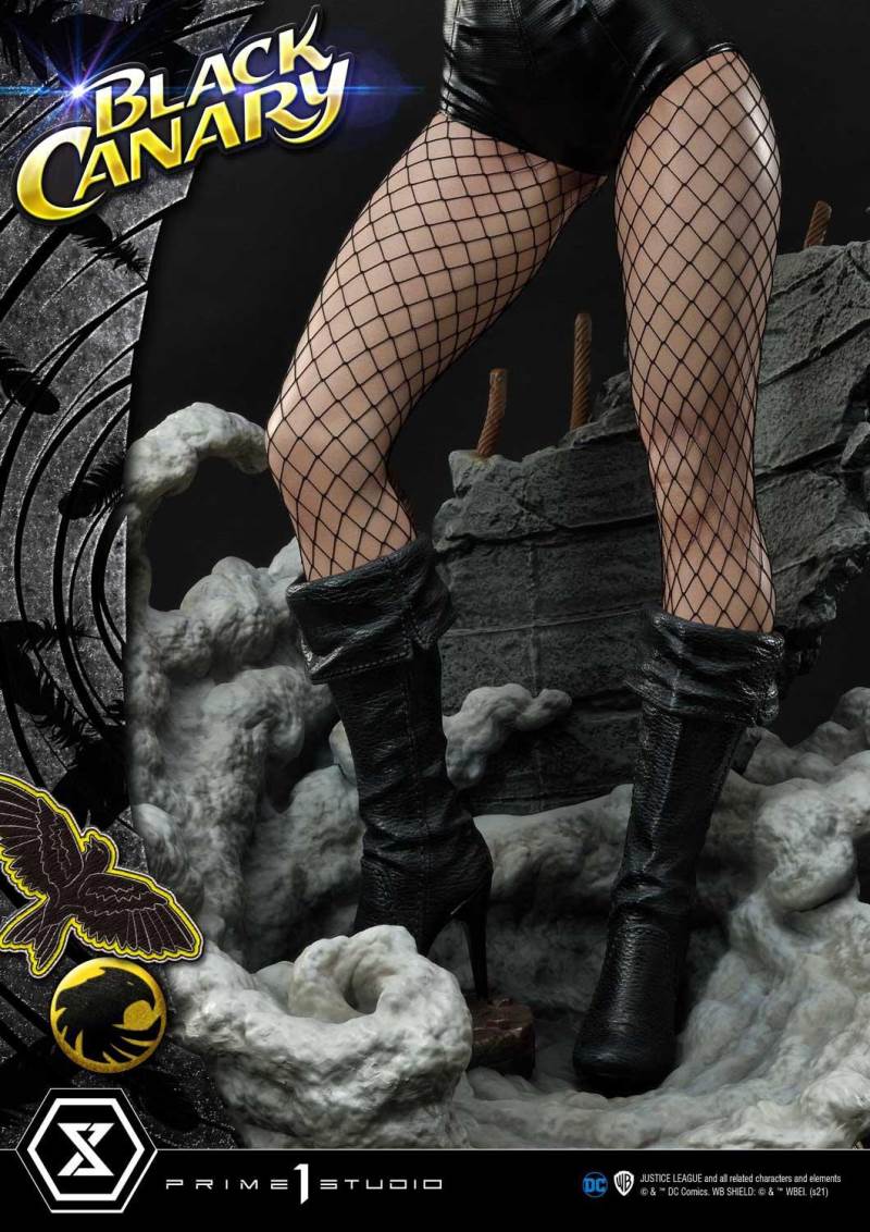 2DC Comics Black Canary
