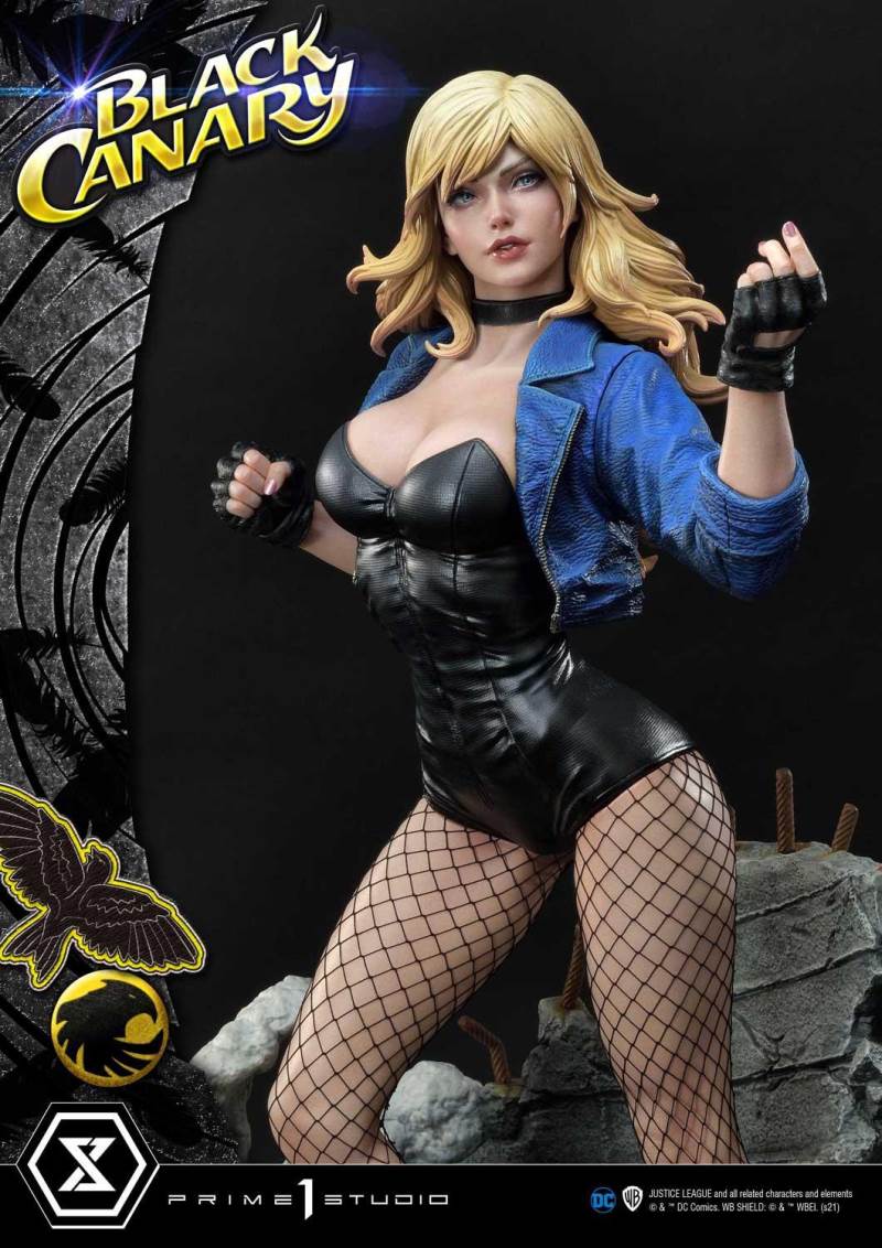 2DC Comics Black Canary