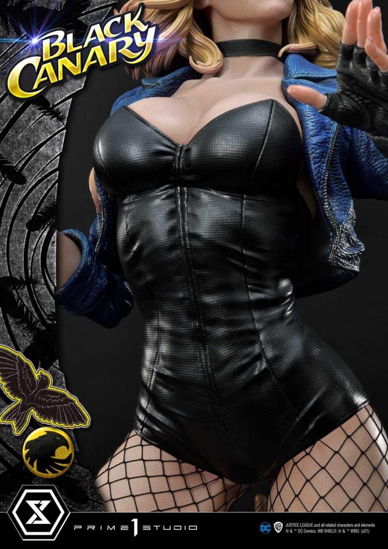 2DC Comics Black Canary