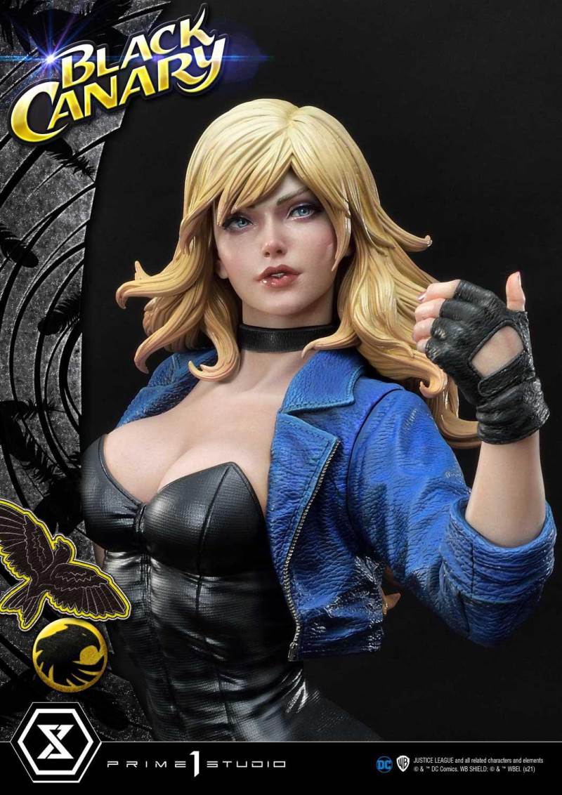 2DC Comics Black Canary