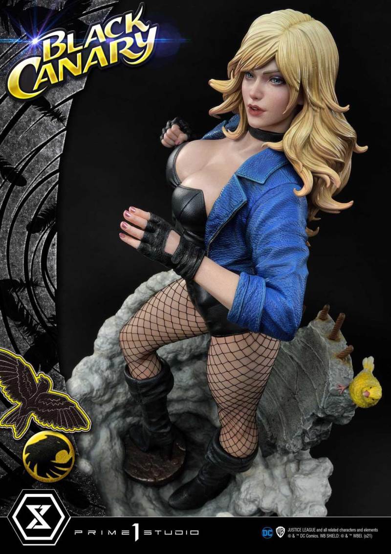 2DC Comics Black Canary