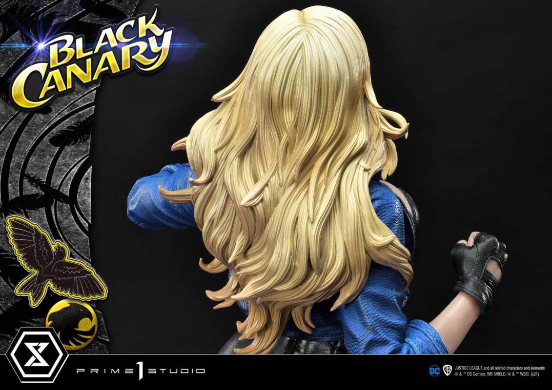 2DC Comics Black Canary