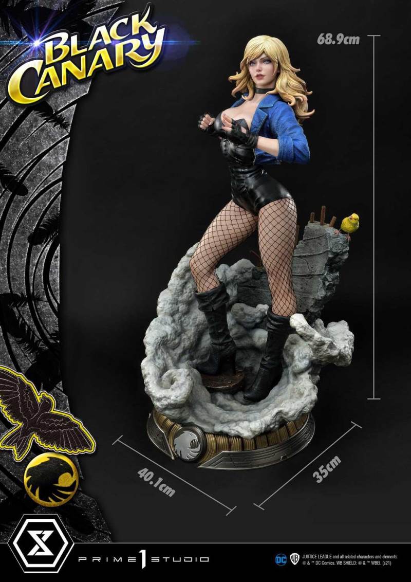 2DC Comics Black Canary