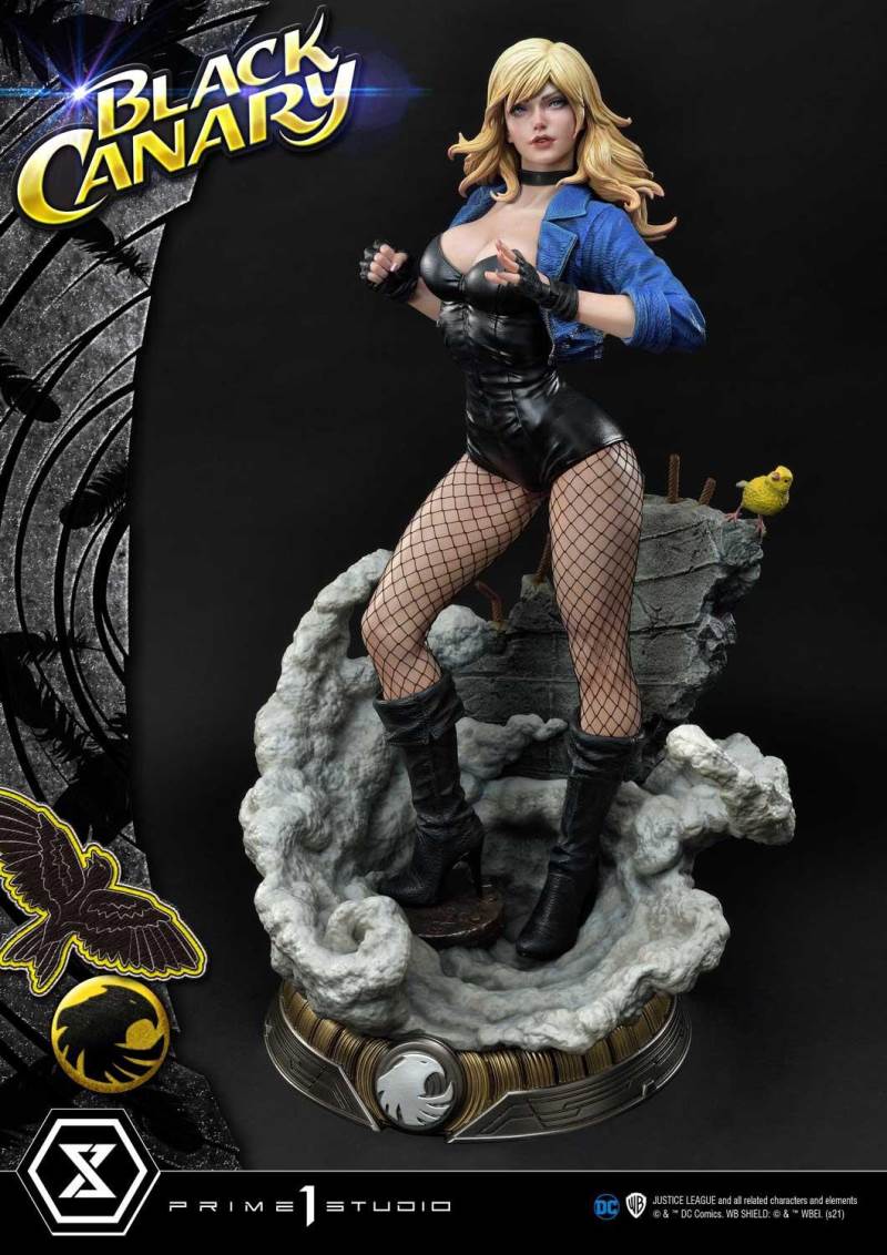 2DC Comics Black Canary