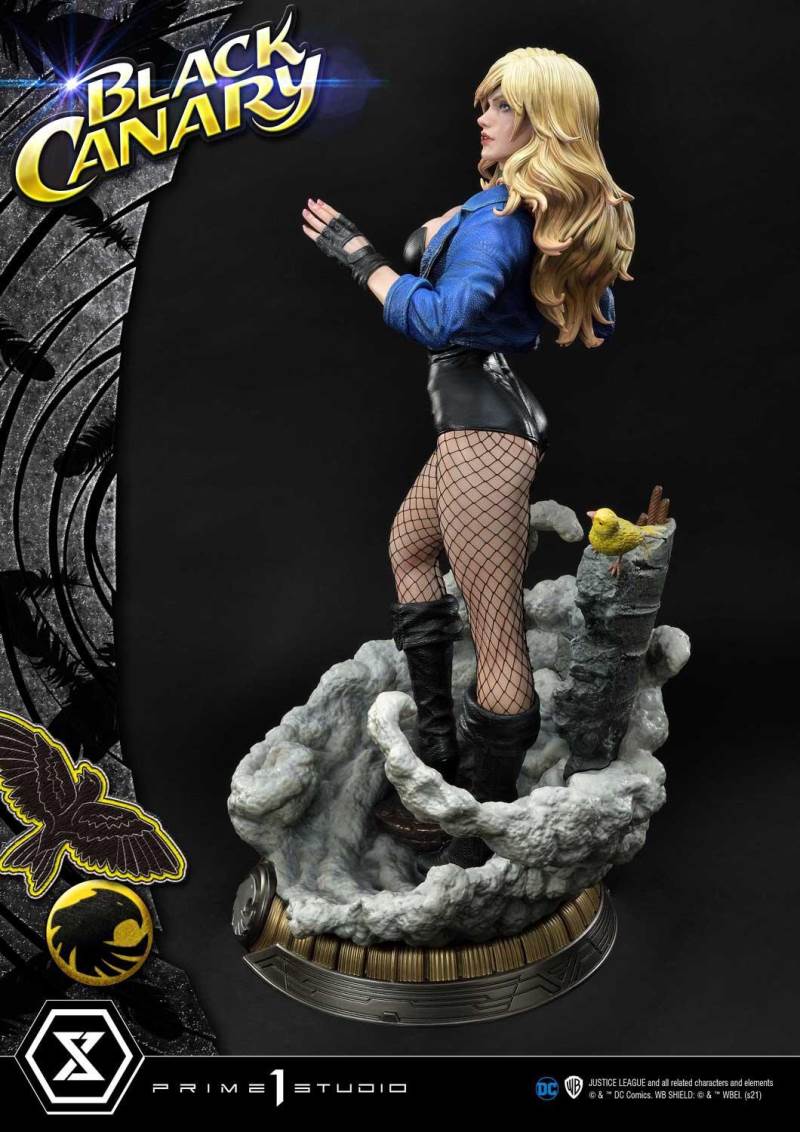 2DC Comics Black Canary