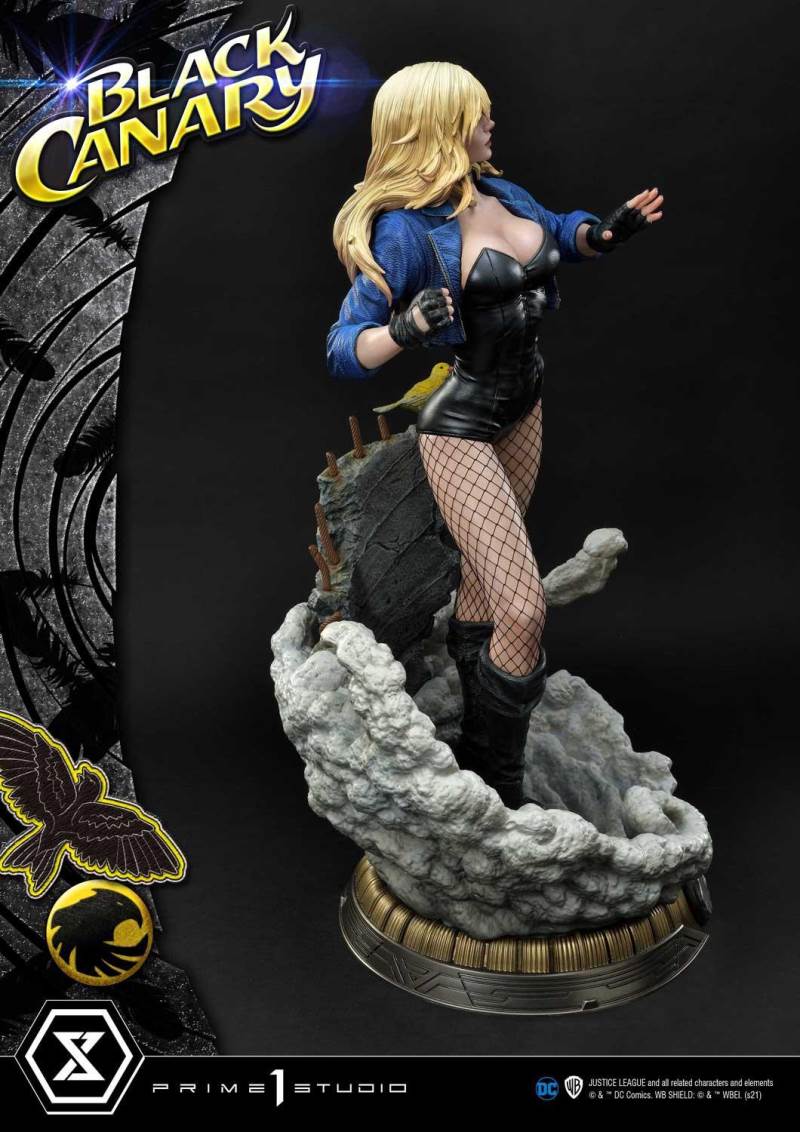 2DC Comics Black Canary