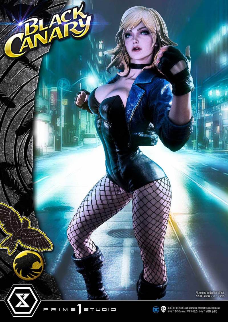 2DC Comics Black Canary