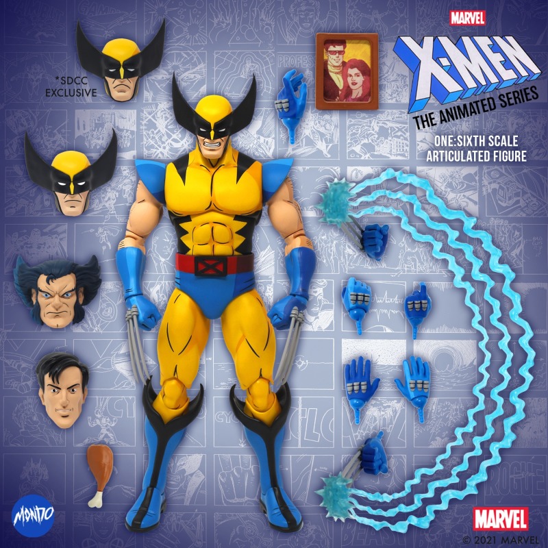 Wolverine 1/6